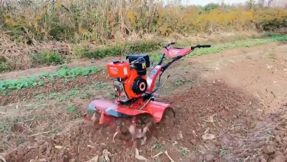 160*62*108cm 多目的ギアとベルトトランスミッション 170F ガソリンエンジンパワーティラー
