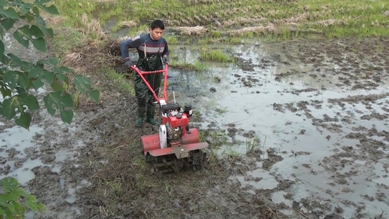 農業機器のための先進的な四輪駆動ガソリンエンジン農耕栽培機