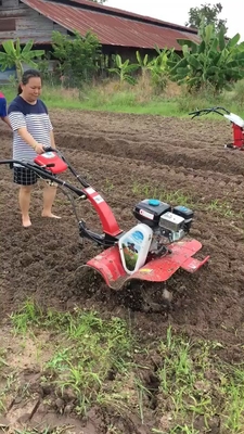 ギアトランスミッション 8HP ディーゼルエンジン 重作業耕作用ローータリー土壌栽培機