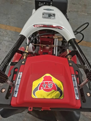 労働省エネ 170F ガソリンエンジン 農場管理機械 生産性 現金作物