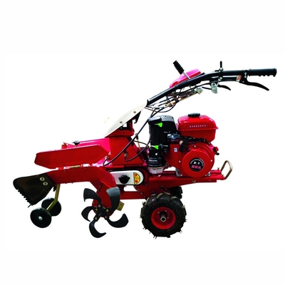労働省エネ 170F ガソリンエンジン 農場管理機械 生産性 現金作物