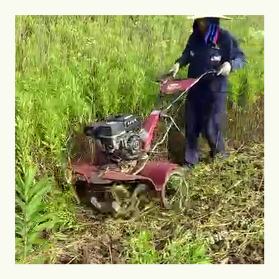耐久性 170F ガソリンエンジンの4輪駆動 田畑と乾燥地の農園栽培機 65 KG